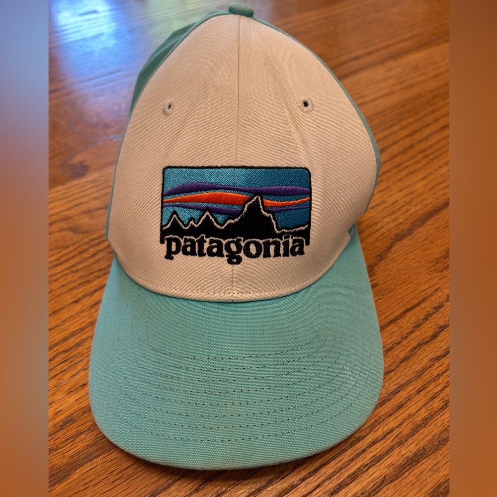 Patagonia Turquoise and White Logo Ball Cap